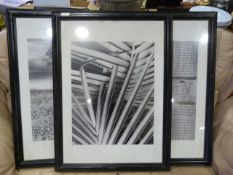 Three Framed Monochrome Prints