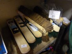 *Ten Sweeping Brush Heads