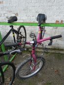 Apollo Star Bicycle (Pink)