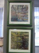 Pair of Framed Prints 