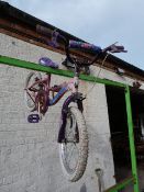 Magna Girls Bicycle (Pink)