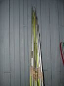 *Ten Apollo Javelins