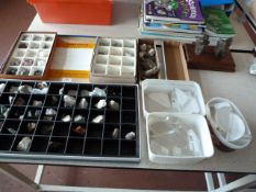 *Geological Rock Collection