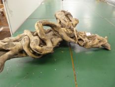 *Piece of Decorative Root