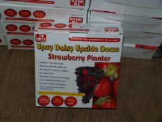 *Carton Containing Twenty Four Upsy Daisy Upside Down Strawberry Planters