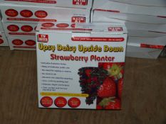 *Carton Containing Twenty Four Upsy Daisy Upside Down Strawberry Planters