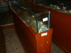 *Mahogany and Plate Glass Illuminated Aquarium Room Divider