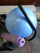 Everlast Work Mat, Ab Machine and an Exercise Ball