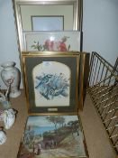 Collection of Framed Prints