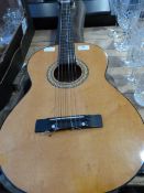 Students Spanish Guitar in Case