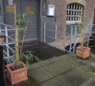 2 x Outdoor Garden Planters With Plants - Heavy Duty Stone Planters - CL150 - Location: Canary