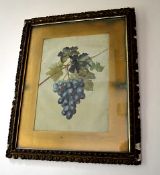 1 x Vintage Framed Painting Of Fruit On Canvas - From A Grade II Listed Hall In Good Condition -