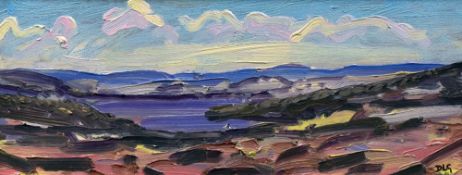 DAVID LLOYD GRIFFITH oil on card - landscape, entitled verso 'Summer Day on Llynn Brenig' signed