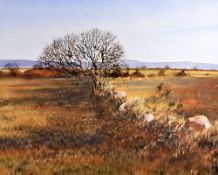 DAVID TRESS watercolour - expansive landscape with stonewall and tree, signed and dated 1986, 50 x