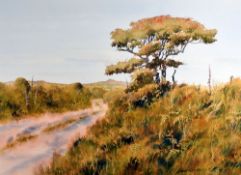 DAVID TRESS watercolour - rural lane near St. David's, Pembrokeshire, entitled verso 'Tretio',