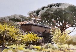DAVID TRESS watercolour - Continental villa in trees, signed and dated 1986, 26 x 36cms
