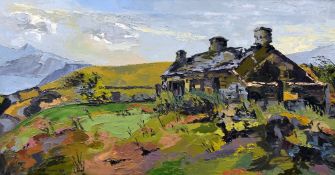 ROWENA WYN oil on canvas - old stone cottage, upland Snowdonia, signed, 40 x 76cms