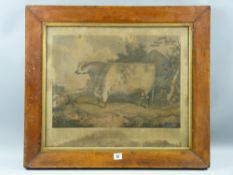 After H STRAFFORD engraving on stone - 'The Prize Short Horn Bull, Duke of Northumberland', (for