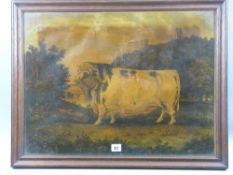 Early 19th Century print - Durham Bull with the legend of the print folded verso, 46 x 61 cms (for