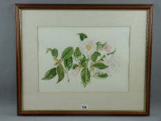 KAY REES-DAVIES finely executed watercolour of blossom, 29 x 40 cms