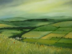 ELFYN ROBERTS acrylic on canvas - landscape patchwork with poppies and wild flowers on the