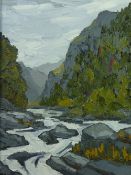 DAVID BARNES oil on board - Snowdonia river scene, signed with initials and in full verso, 38 x 28