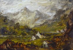 DAVID WYN GRIFFITHS oil on board - Snowdonia cottages, signed in full, 29 x 43 cms