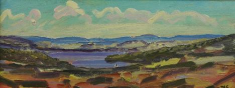 DAVID LLOYD GRIFFITH oil on board - landscape entitled verso 'A Summer's Day on Llyn Brenig,