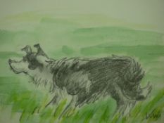 SIR KYFFIN WILLIAMS RA watercolour and pencil - stalking sheepdog, signed with initials and entitled