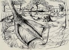 JOHN ELWYN ink drawing - anatomical study entitled ‘Goose Foot’ with provenance from Professor