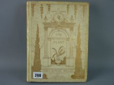 BOOK - 'The Sensitive Plant' by P B Shelley with coloured plates by Charles Robinson, parchment