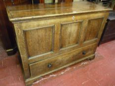 A GEORGE II OAK DOWER CHEST, the two plank polished top with inverted moulded edges, triple panel