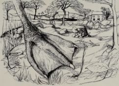 JOHN ELWYN ink drawing - anatomical study entitled 'Goose Foot' with provenance from Professor