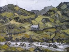 MARTIN LLEWELYN oil on canvas - mountain landscape with cottage and river, signed with initials