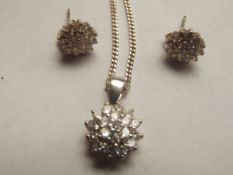 Silver necklace and earrings