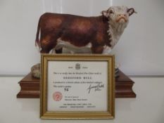 Hereford China Hereford Bull, limited 94/500, rais