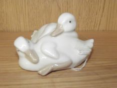 Nao group, ducklings