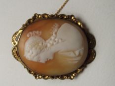 Cameo brooch