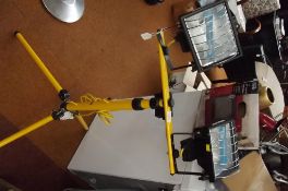 Halogen double work lamp