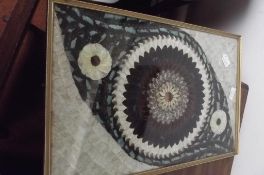 Framed butterfly wing picture