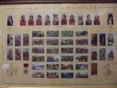 Framed and mounted Will's cigarette cards with gla