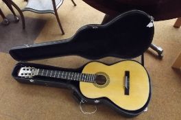 Acoustic guitar in hard case