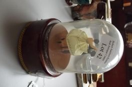 Domed musical box