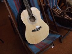 Power play acoustic guitar in soft case