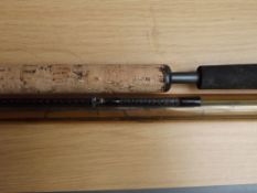 Tip-feeder rod 12 foot with 5 tipps