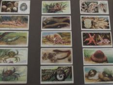 Collection of stamps and cigarette cards