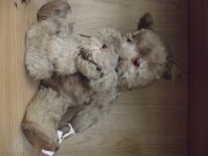 Two vintage teddy bears