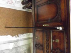 Silver topped swagger stick