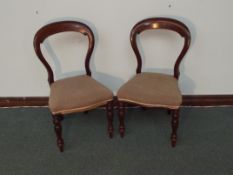 Set of six Victorian mahogany balloon back dining chairs on turned legs