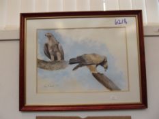 Signed watercolour of eagles